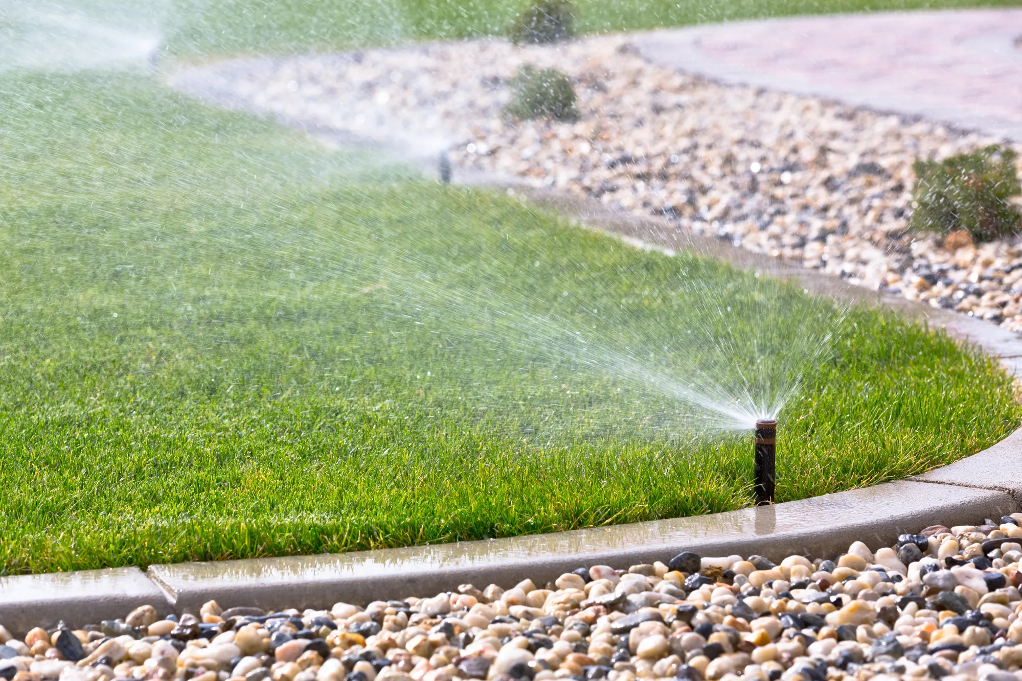 Garden irrigation sprinkler watering a lawn bed