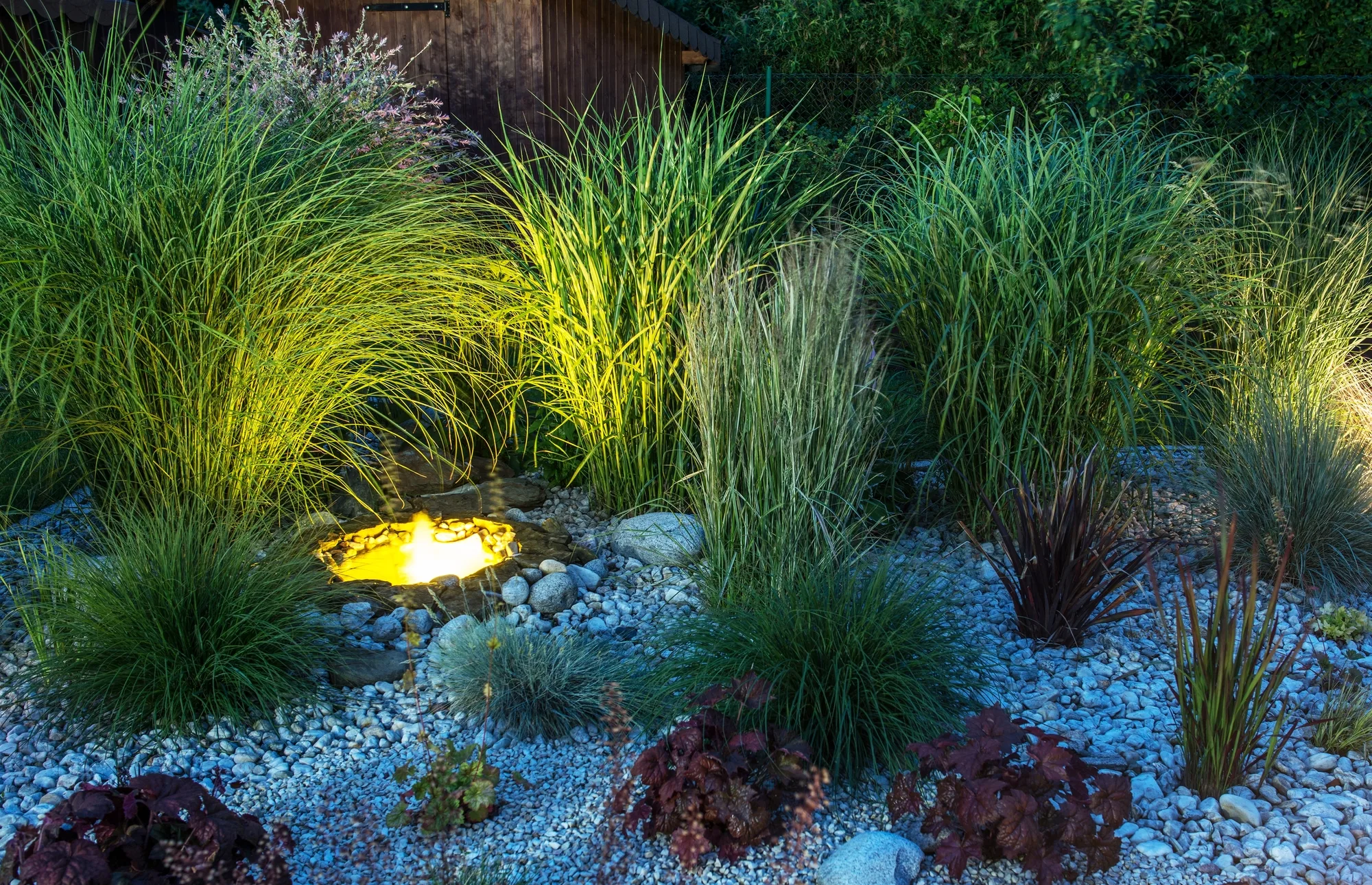 Garden bed with ornamental grasses and feature lighting at night