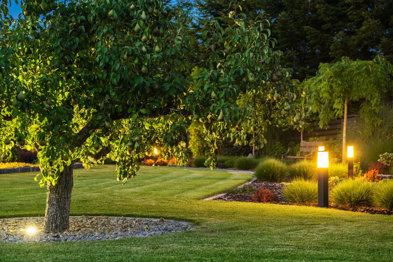 Garden bollard lighting along a lawn path at dusk