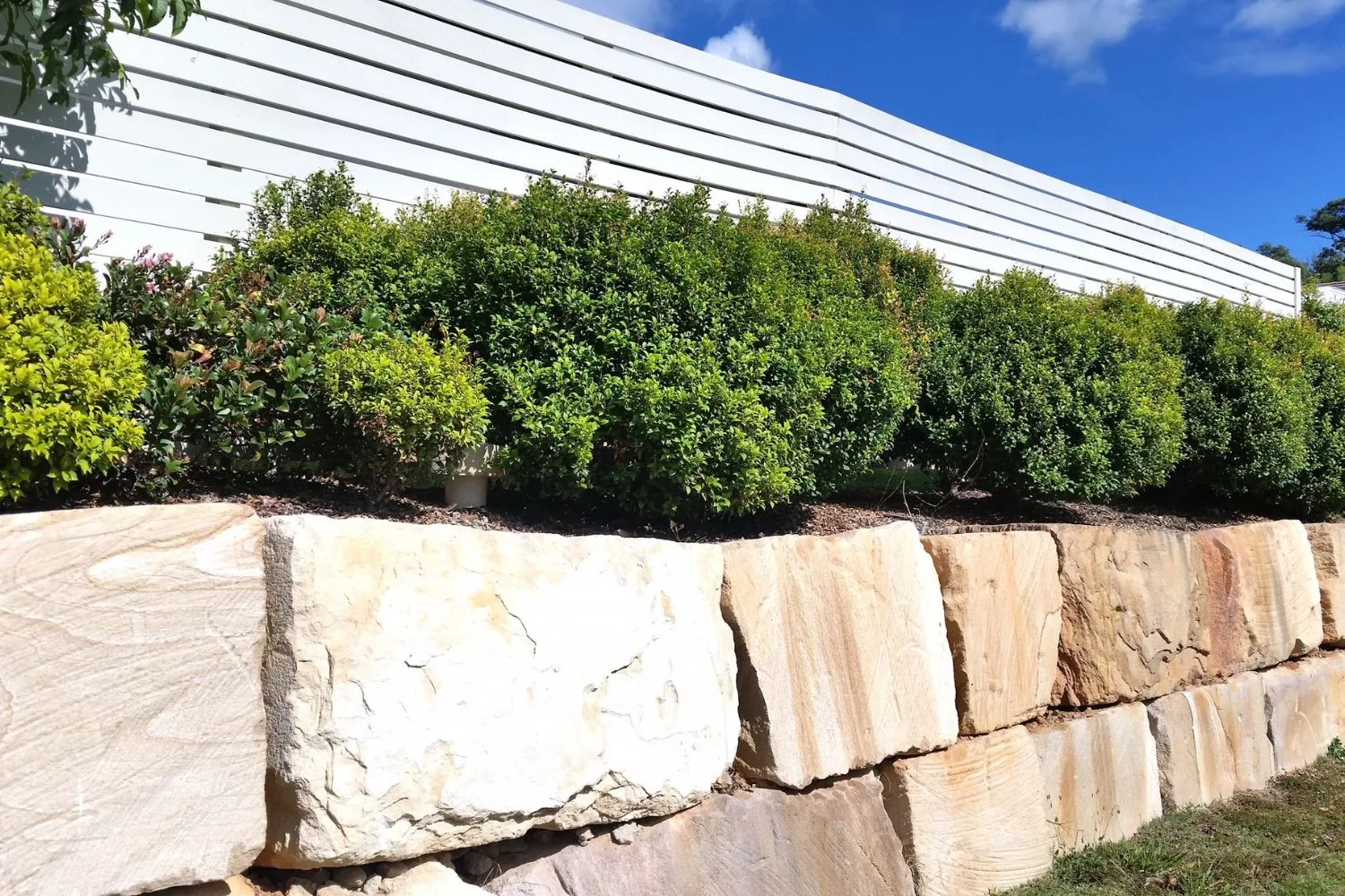 Stone-clad retaining wall along a garden bed with hedge planting
