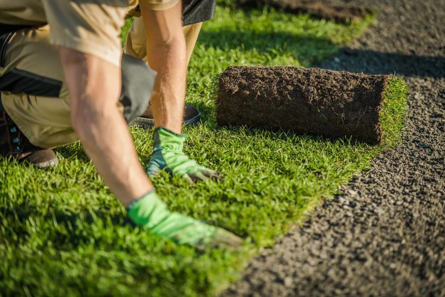 Turf being laid during a landscaping installation